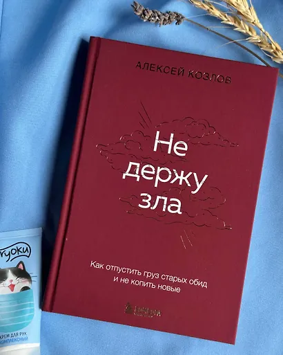 Не держу зла. Как отпустить груз старых обид и не копить новые - фото 14