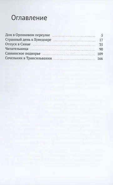 Странный день в Хунедоаре - фото 3