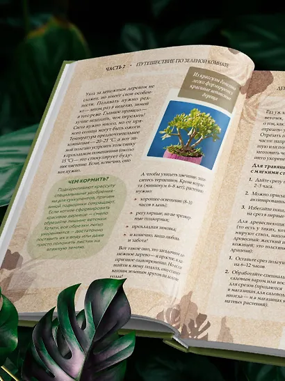 Зеленая комната. Как стать повелителем домашних джунглей - фото 9