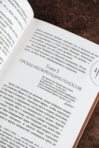 Дело о золотой мушке - фото 8