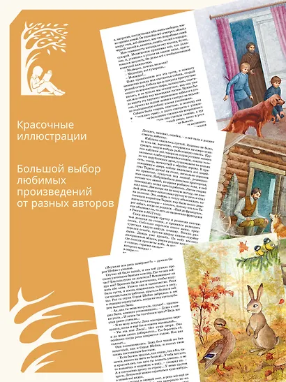 Серая шейка - фото 5