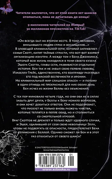 Невольница. Книга 1,5. Мы не можем (не) быть вместе - фото 2