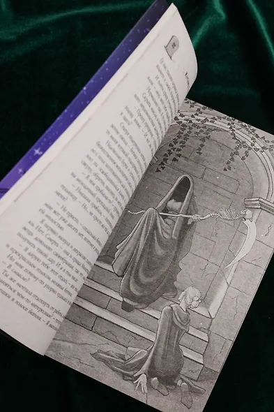 Смерть, отбор и котики - фото 12