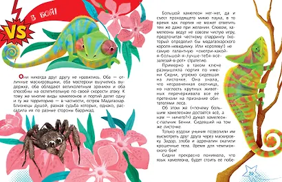 Животные-супергерои - фото 10