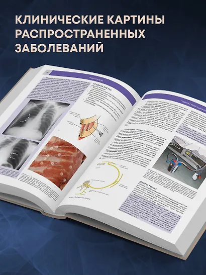 Основы клинической анатомии. Иллюстрированный атлас нозологий и патологий - фото 6