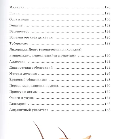 Тело человека - фото 4