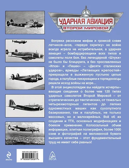 Ударная авиация Второй Мировой – штурмовики, бомбардировщики, торпедоносцы - фото 2