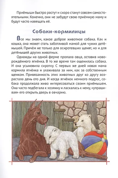 Добрые чувства животных - фото 4