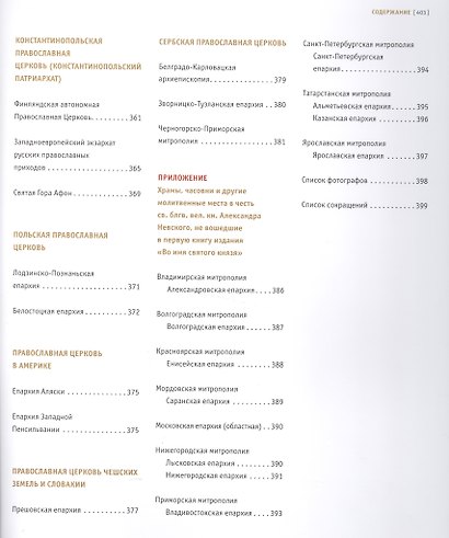 Во имя святого князя. Книга вторая - фото 5