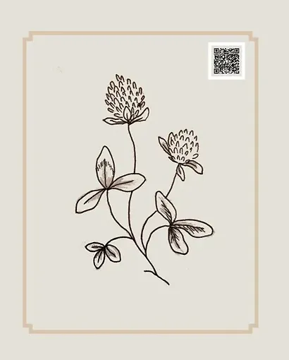 Лесные стежки. Свободная вышивка и одежда без выкроек - фото 10