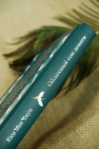 Облачный сон девяти - фото 14