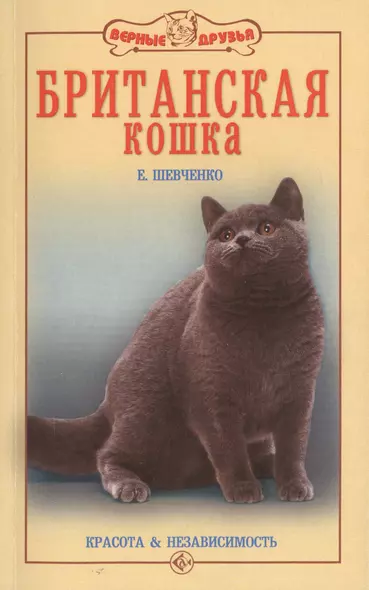 Британская кошка. Красота и независимость. - фото 1
