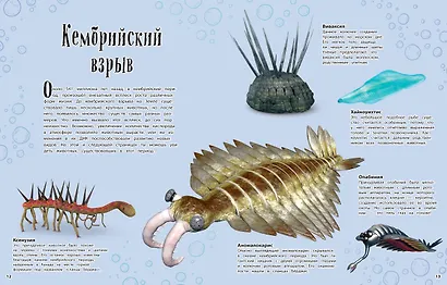 Динозавры и другие доисторические животные. Энциклопедия - фото 5