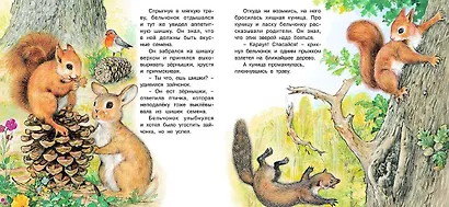 Приключения бельчонка - фото 3