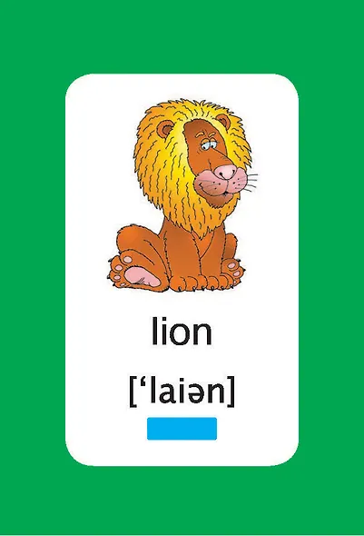 300 первых английских слов. Набор карточек для детей - фото 9