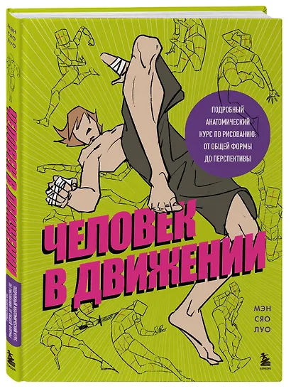 Человек в движении. Подробный анатомический курс по рисованию: от общей формы до перспективы - фото 3
