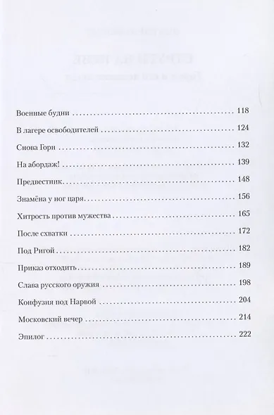 Струги на Неве - фото 3