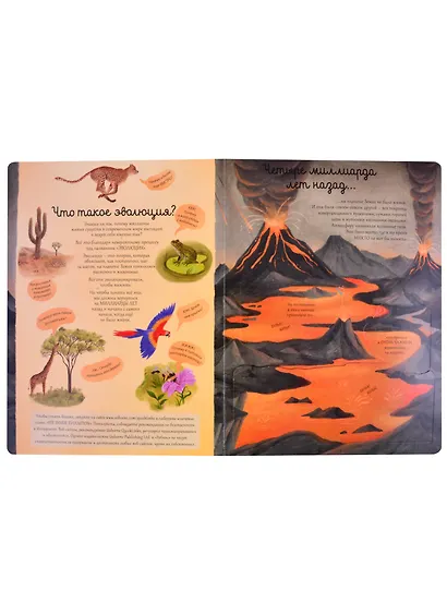 Эволюция. Более 55 секретных створок - фото 2