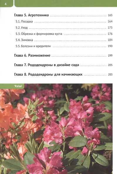 Рододендроны для Северо-Запада - фото 3