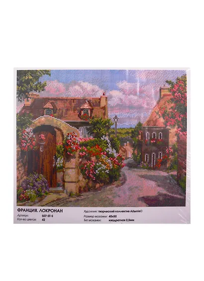 Алмазная мозаика на подрамнике ТМ Белоснежка Франция. Локронан 507-ST-S - фото 2