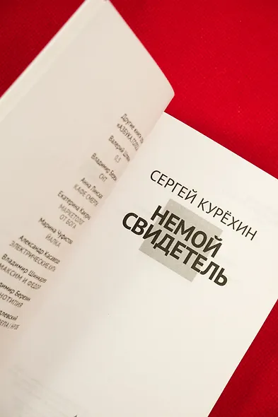 Немой свидетель - фото 10