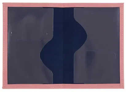 Обложка для паспорта (пудровая) (софт тач) (12-BLUEDOT-202510-A1-013) - фото 6
