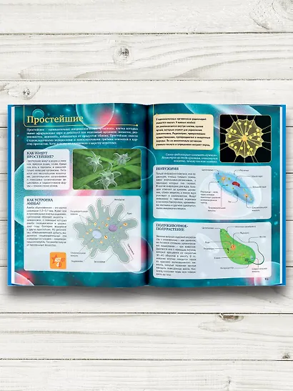 Планета Земля - фото 4