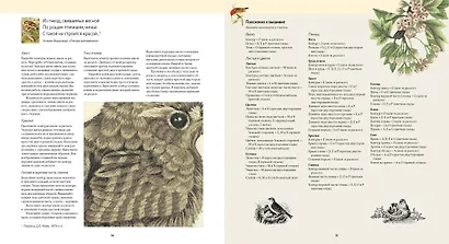 Художественная гладь. Вышивание как искусство - фото 5