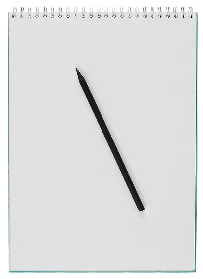 Скетчбук А4 40л "Енот-полоскун" белый офсет, 80г/м2, тв.обложка, спираль - фото 2