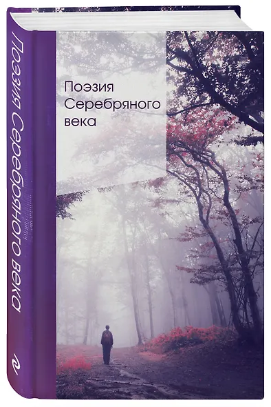 Поэзия Серебряного века - фото 3