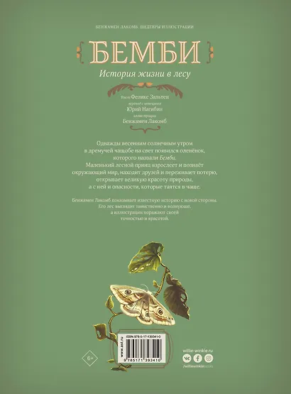 Бемби. История жизни в лесу - фото 2