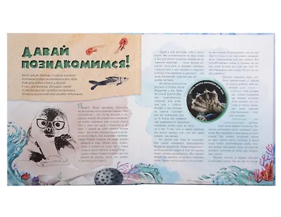 Тюлень Ластик и его друзья - фото 3