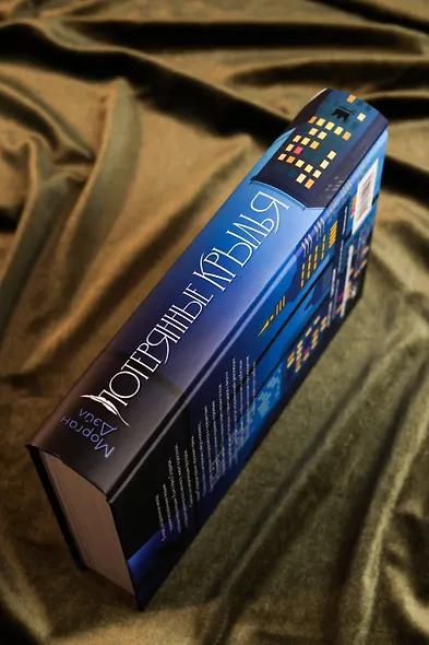 Потерянные крылья - фото 10