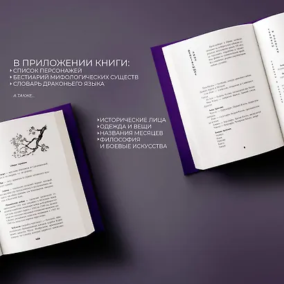 Дракон и Тигр (комплект из 3 книг) - фото 8