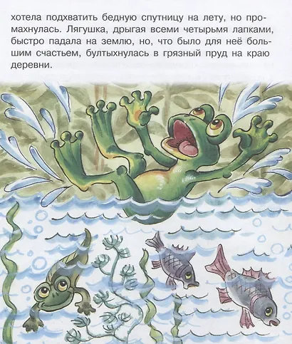 Лягушка-путешественница - фото 5