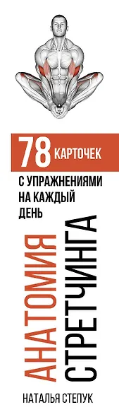 Анатомия стретчинга. 78 карточек с упражнениями на каждый день. - фото 4