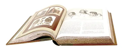 История освоения Сибири. Иллюстрированное издание в коллекционном инкрустированном переплете ручной работы с четырьмя видами тиснения и украшенным обрезом - фото 14