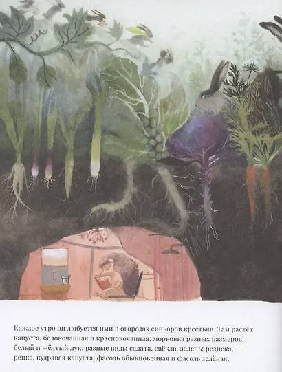 Суп синьора Лепрона - фото 3