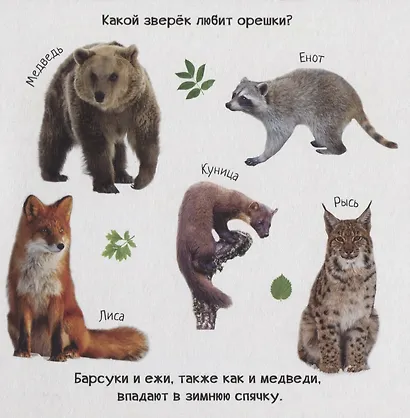 Знакомство с животным миром - фото 5