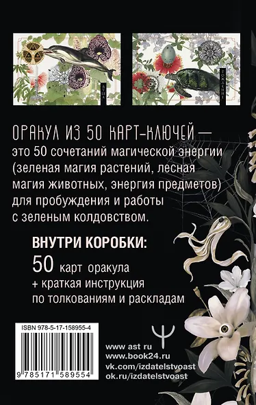 Ключи Зеленой магии. Ведьмовской оракул - фото 2