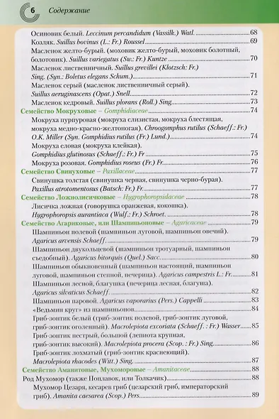 Малоизвестные съедобные грибы - фото 5