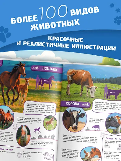 Удивительный мир животных. Энциклопедия для детей - фото 6