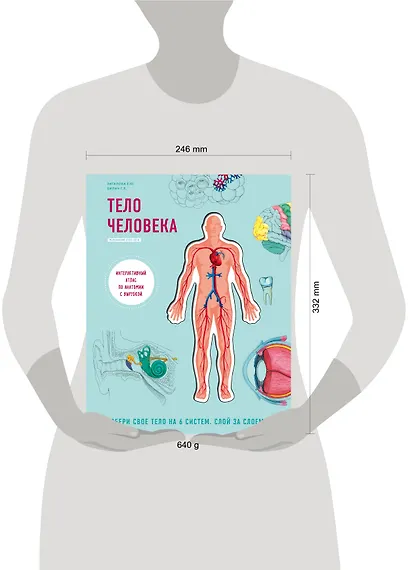 Тело человека. Интерактивный атлас по анатомии с вырубкой. Разбери свое тело на 6 систем. Слой за слоем - фото 10