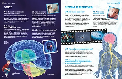 Тело человека - фото 6