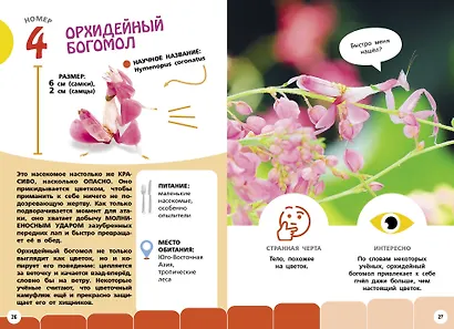 Самые необычные животные и места мира - фото 7