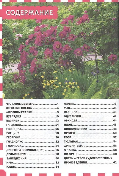 Цветы. Популярная детская энциклопедия - фото 2