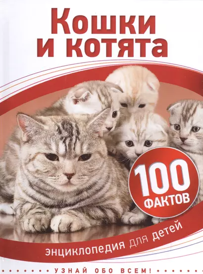 Кошки и котята - фото 1