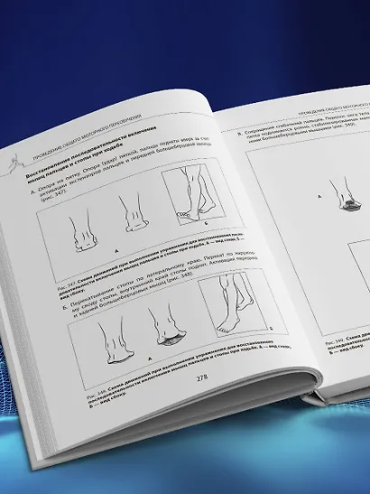 Прикладная кинезиология. Восстановление тонуса и функций скелетных мышц - фото 11