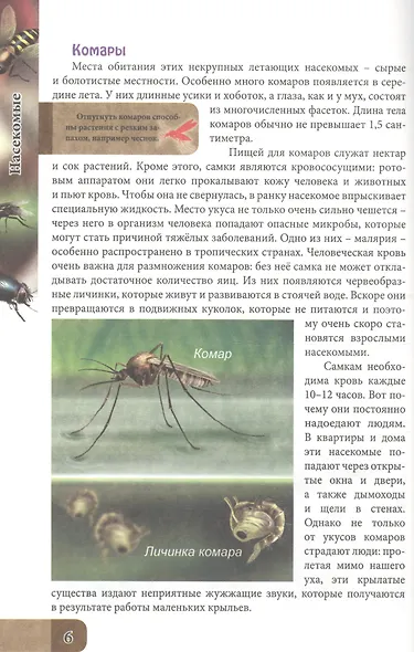 ЭНЦИКЛОПЕДИЯ. В МИРЕ ЗНАНИЙ. УДИВИТЕЛЬНЫЙ МИР НАСЕКОМЫХ - фото 3