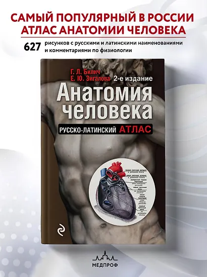 Анатомия человека:рус-лат.атл.2-е изд - фото 4
